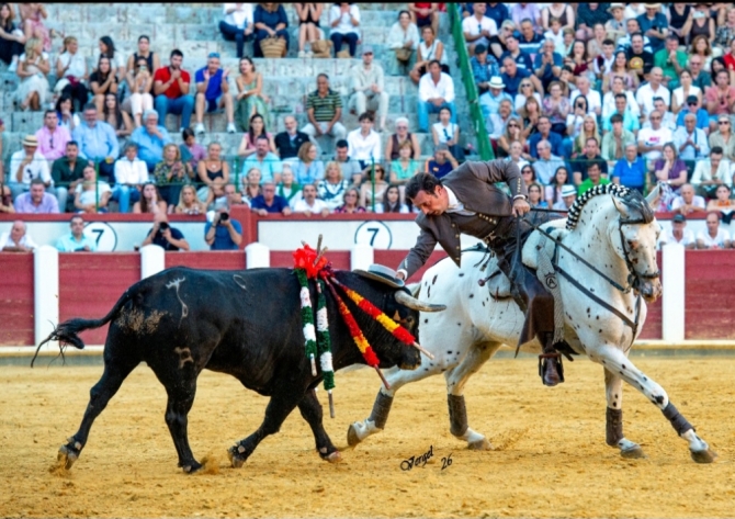 Oreja por montura en la última de Valladolid 