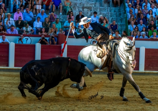 Oreja por montura en la última de Valladolid 