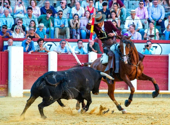 Oreja por montura en la última de Valladolid 