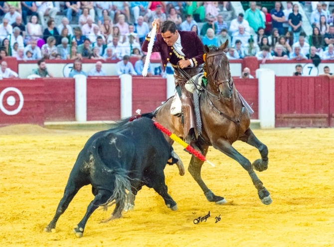 Oreja por montura en la última de Valladolid 