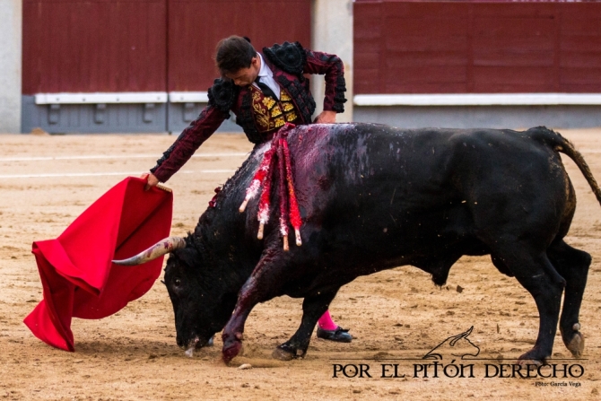 «Imaginario», de Pallarés, se lleva a Sevilla la concurso