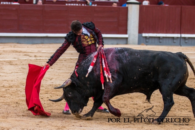 «Imaginario», de Pallarés, se lleva a Sevilla la concurso