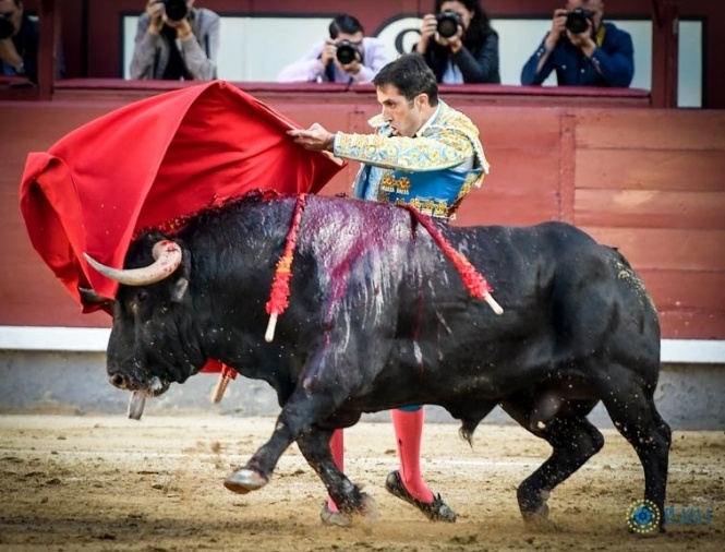 Javier Castaño y Jesús de Alba unen sus caminos