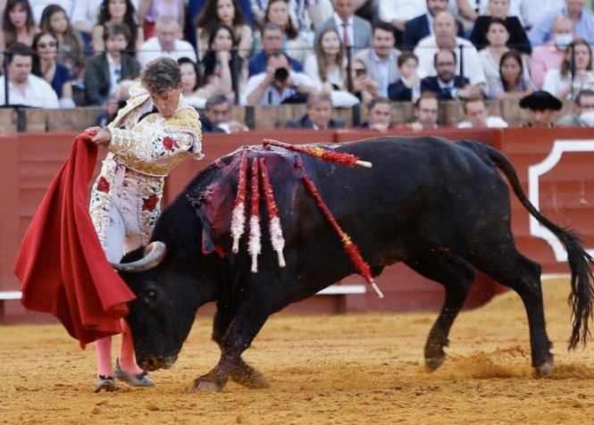 «Voy a Pamplona a comerme el mundo»