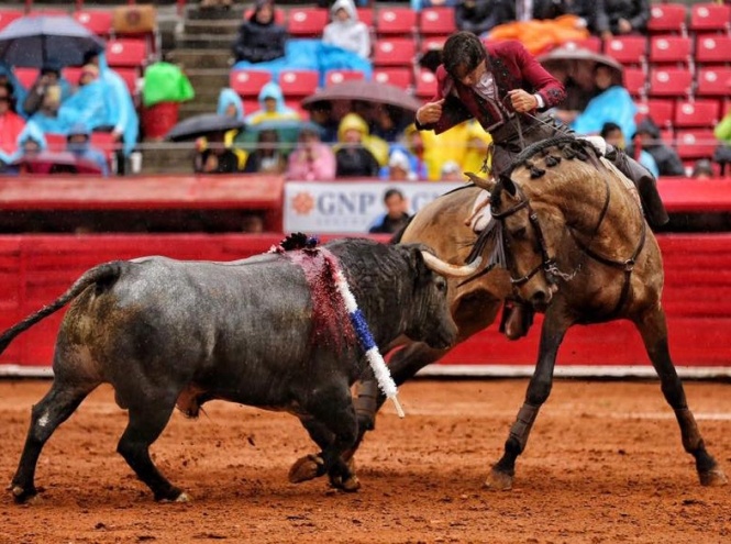 Oreja por rejoneador