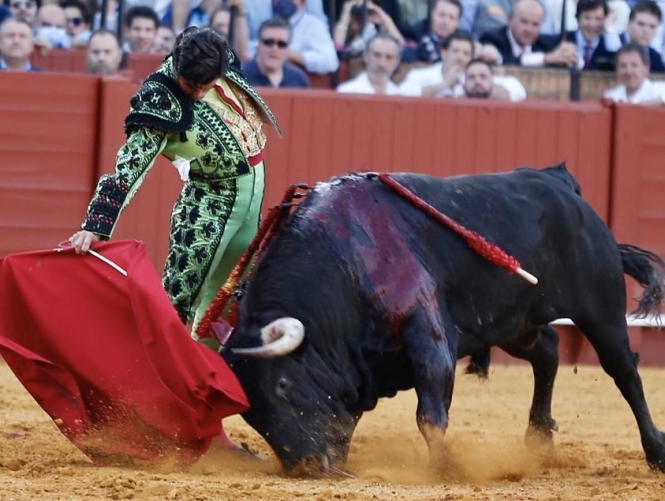 «Tú solo»