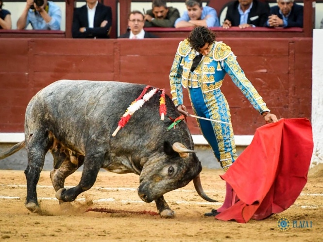 Un tibio final
