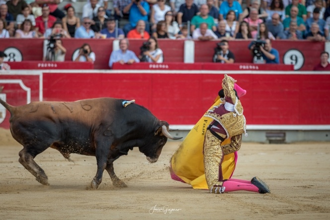 «Hoy la capacidad de un torero parece dar lo mismo»