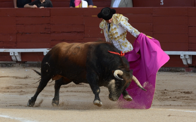 Espadas sin filo