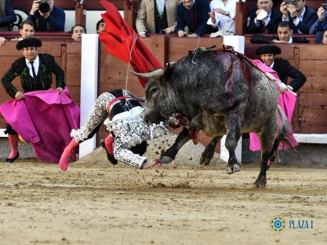 Emilio de Justo resulta cogido y corta su encerrona