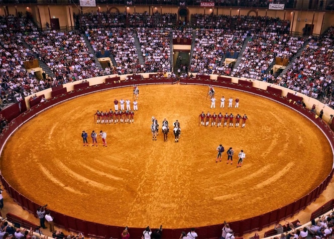 La tauromaquia portuguesa crece con fuerza 