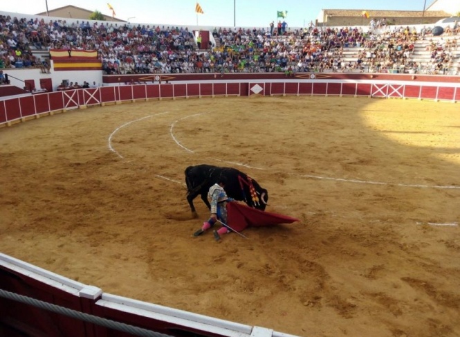 Cella presenta los carteles de su feria taurina