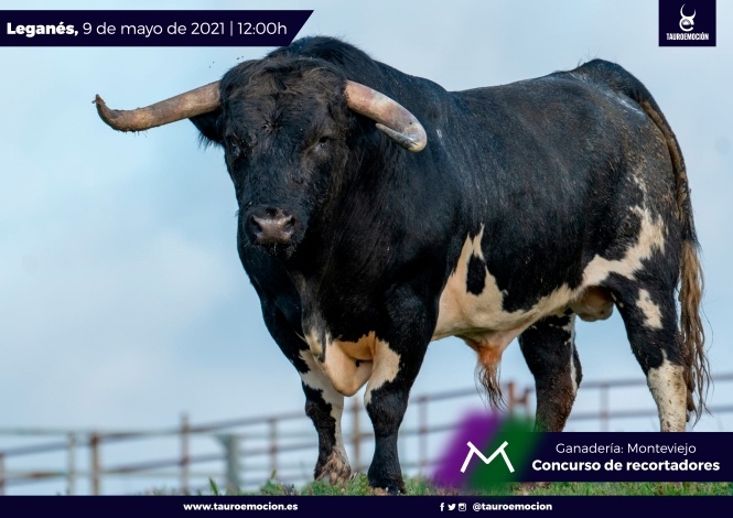 Serios 'monteviejos' para los recortes de Leganés