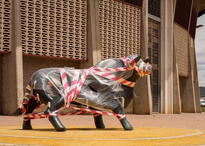 Palencia suspende la feria taurina de San Antolín