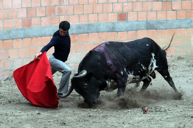 Emilio de Justo se prepara en el campo bravo colombiano