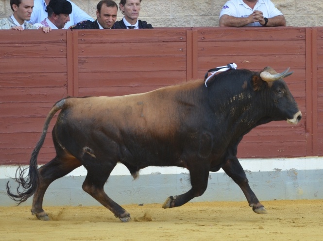 El 'Alfarero de Plata' ya tiene semifinalistas 
