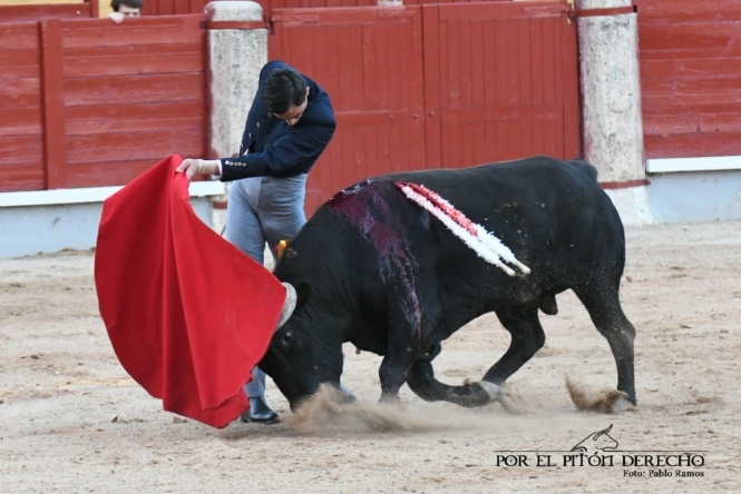 La torería de Urdiales embelesa a Las Cruces