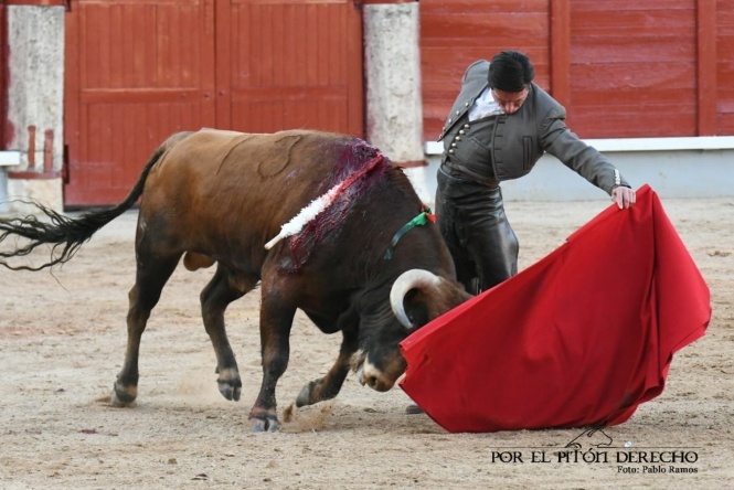 La torería de Urdiales embelesa a Las Cruces