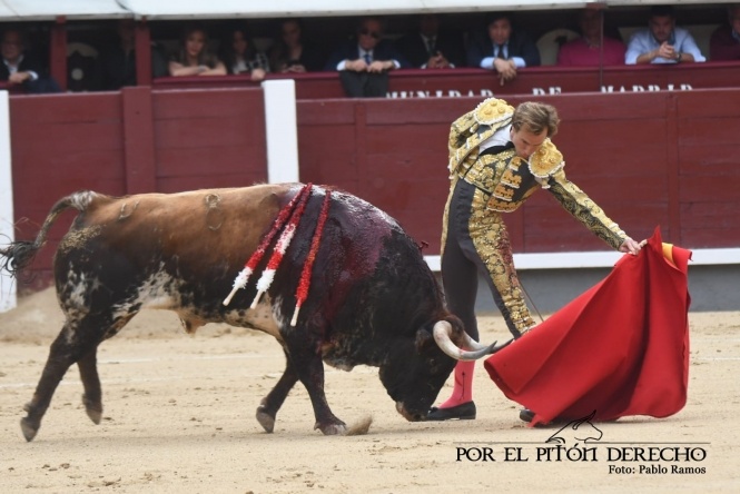 Peregrinando a Esparta por el camino madrileño 