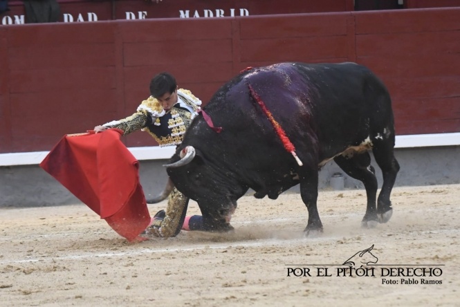 Peregrinando a Esparta por el camino madrileño 