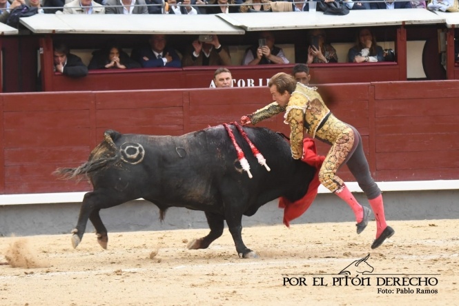 Peregrinando a Esparta por el camino madrileño 