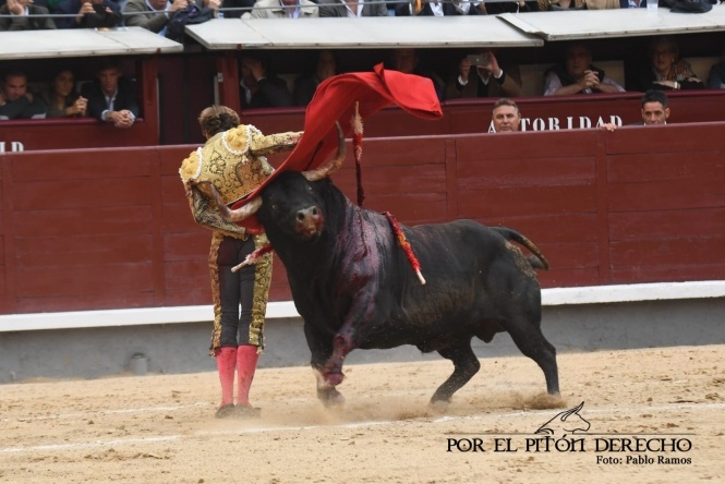 Peregrinando a Esparta por el camino madrileño 