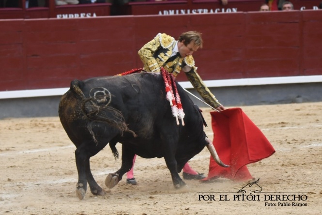 Peregrinando a Esparta por el camino madrileño 