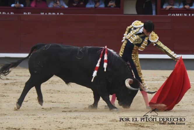 Peregrinando a Esparta por el camino madrileño 
