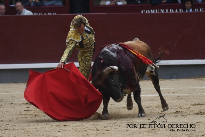Peregrinando a Esparta por el camino madrileño 