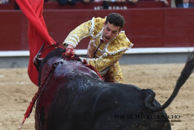 ¡Qué manera de embestir! !Qué manera de morir!