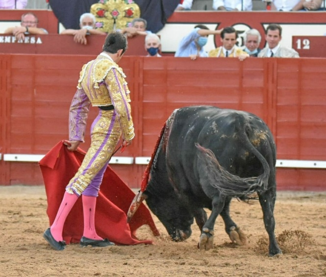 El blues de un salmantino entre dos tenores de la sevillanía