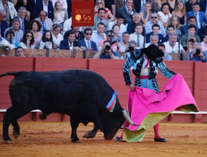 Nos da miedo volver a Sevilla; no es fácil echar un toro como Ligerito