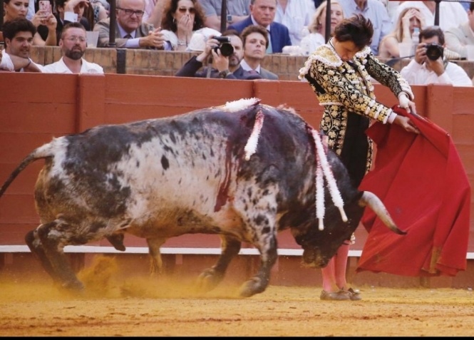 'Un buen Roca no tapa una gran mansada'