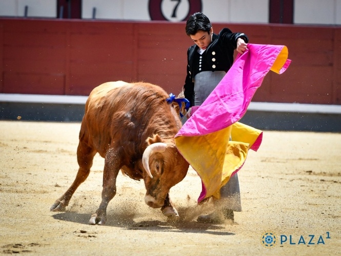 Marco Pérez conquista Las Ventas y abre la Puerta Grande 