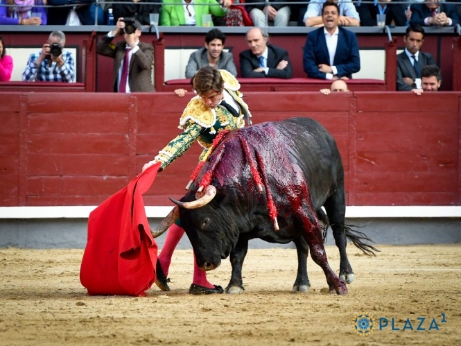 'Magma julista entre cosquillas de un torero de Madrid'