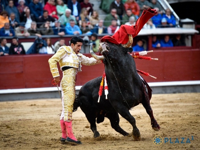 Saldo, mansedumbre y mucha paciencia jobiana