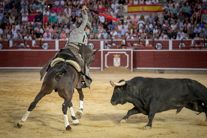 Guillermo debuta en Albacete con puerta grande