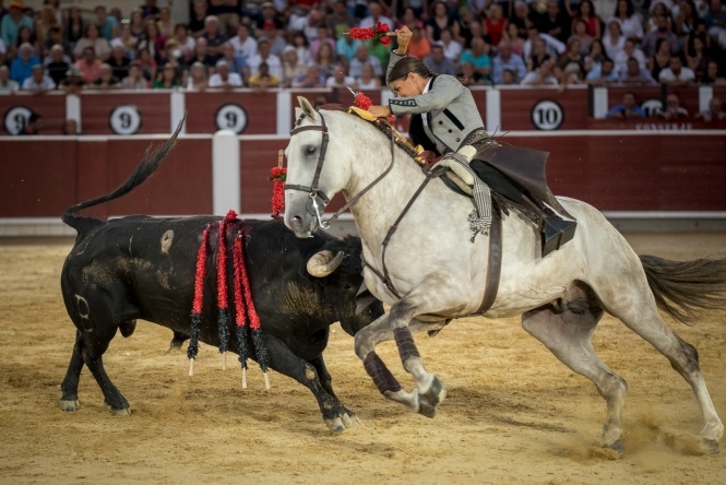Guillermo debuta en Albacete con puerta grande