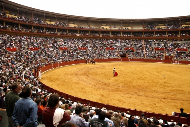 Córdoba reconoce la tauromaquia como cultura