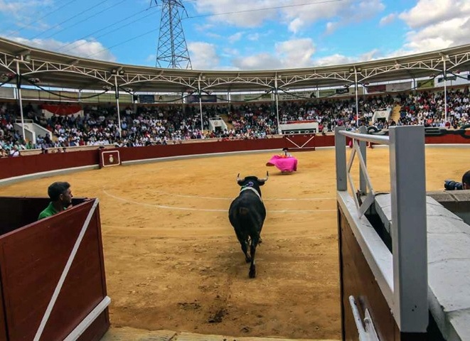 ¿Cómo hacer viables las novilladas con y sin caballos?