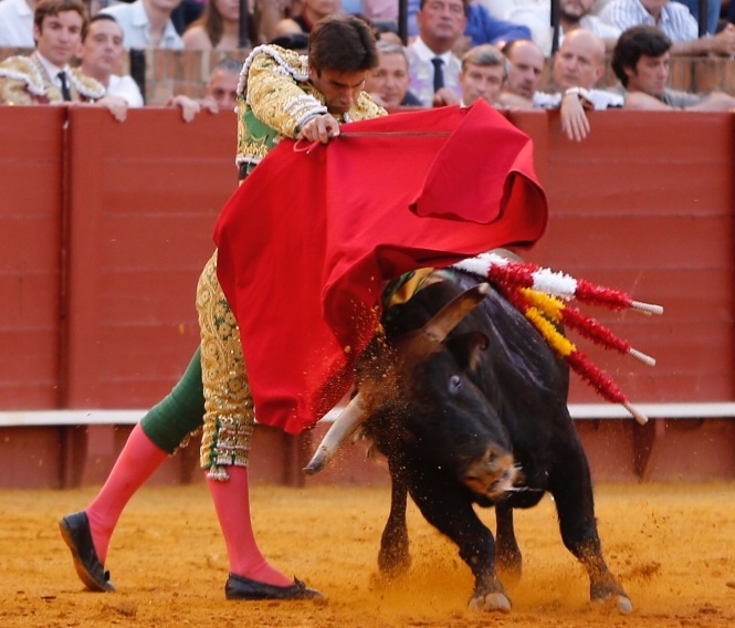 La evolución de Daniel de la Fuente tiene premio