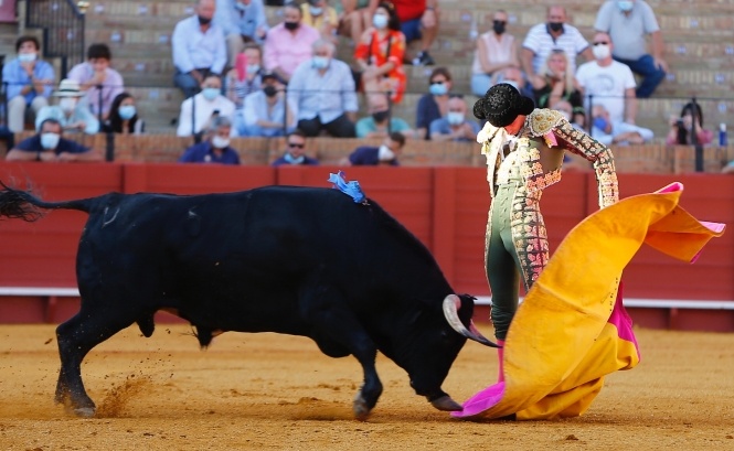 Rocío, ay mi Rocío; manojito de mansetes
