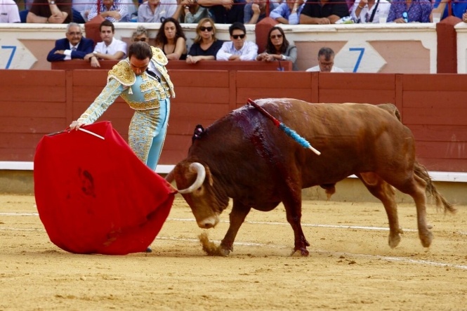 «Necesitaba un cambio de aires y volver a ilusionarme»