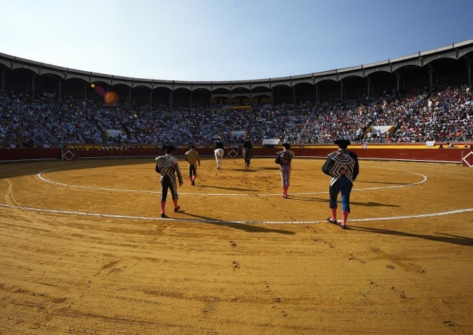 Las figuras, en una Feria de Palencia de tres festejos