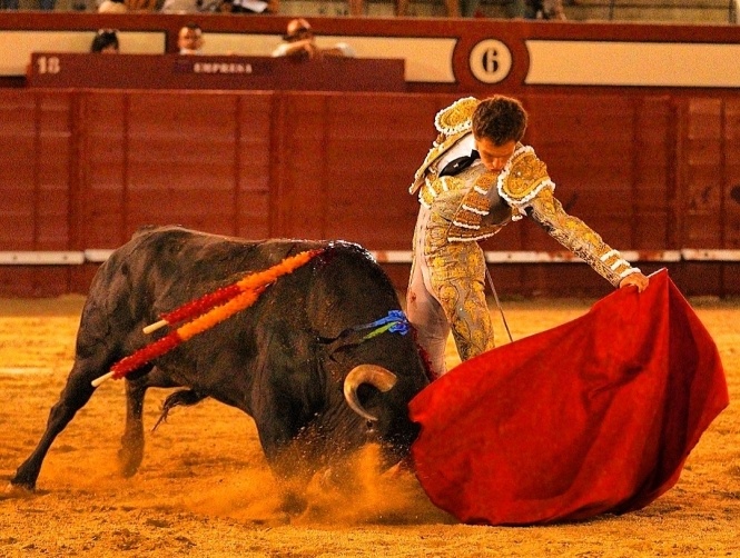 Ginés Marín: arrollar o morir en el intento
