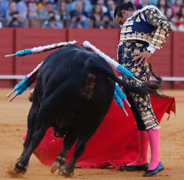 Un riojano de Sevilla