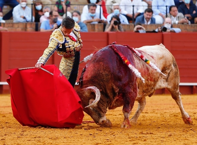 El tesón de Luque y el triste final de 'Gracioso'