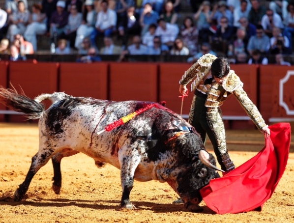 Dos burracos (y un negro) de Torrestrella