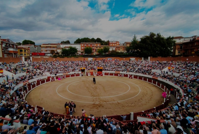 Gran respuesta al 'cartelazo' de Arenas de San Pedro