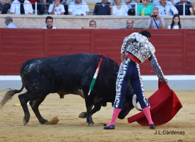 Albacete define la tradicional Corrida de Asprona